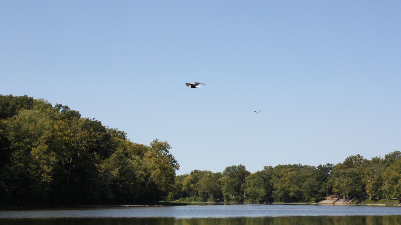 Photo of Others in Logansport