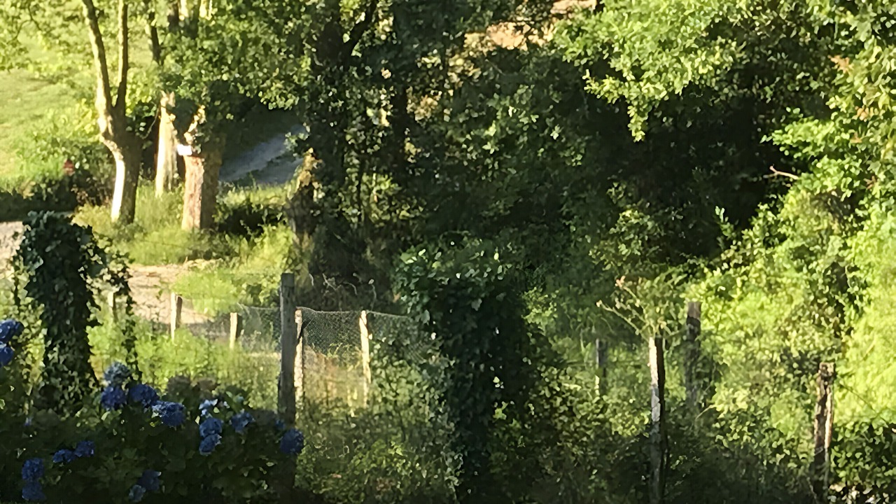 Photo of Outdoor in Arcangues