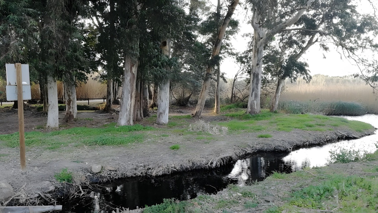 Photo of Outdoor in Bitem
