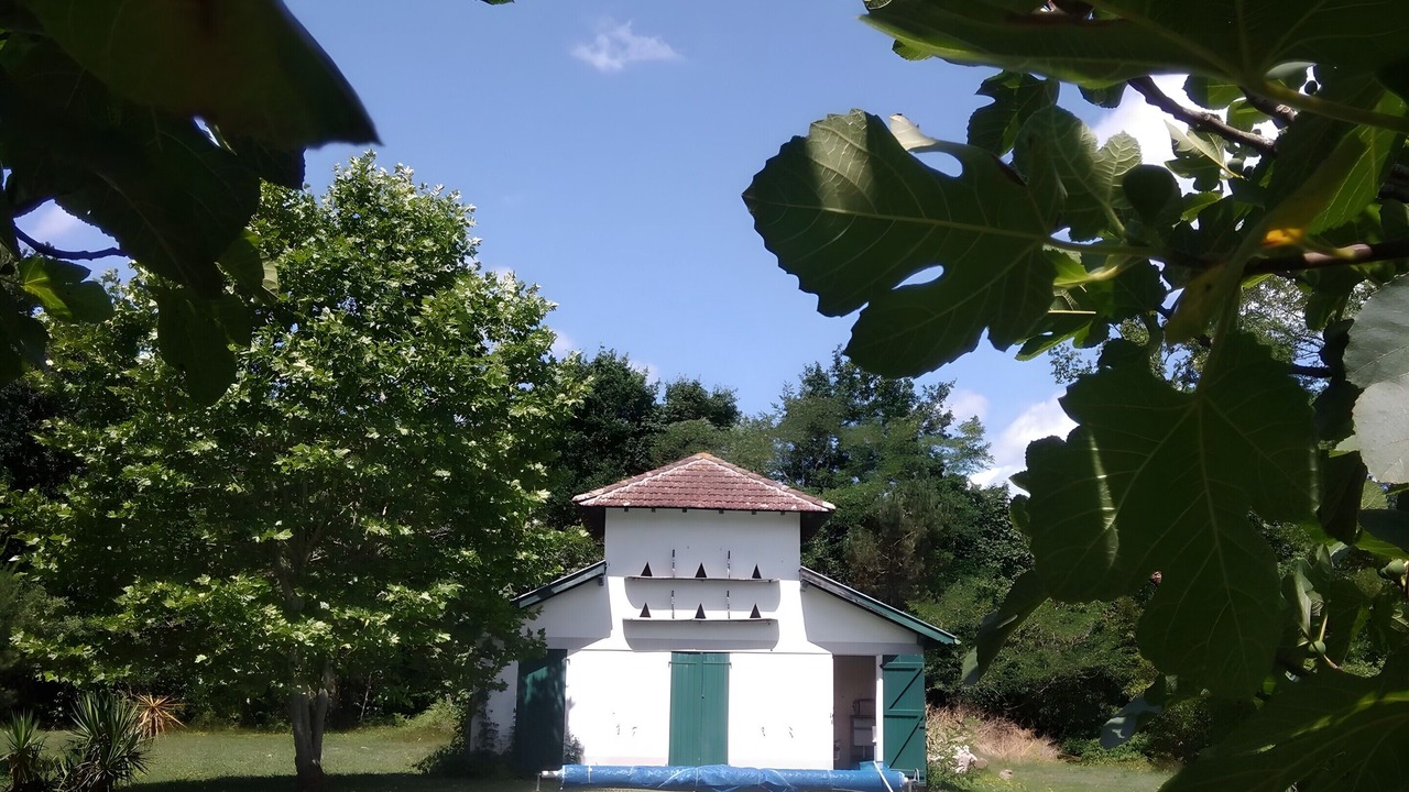 Photo of Outdoor in Castets