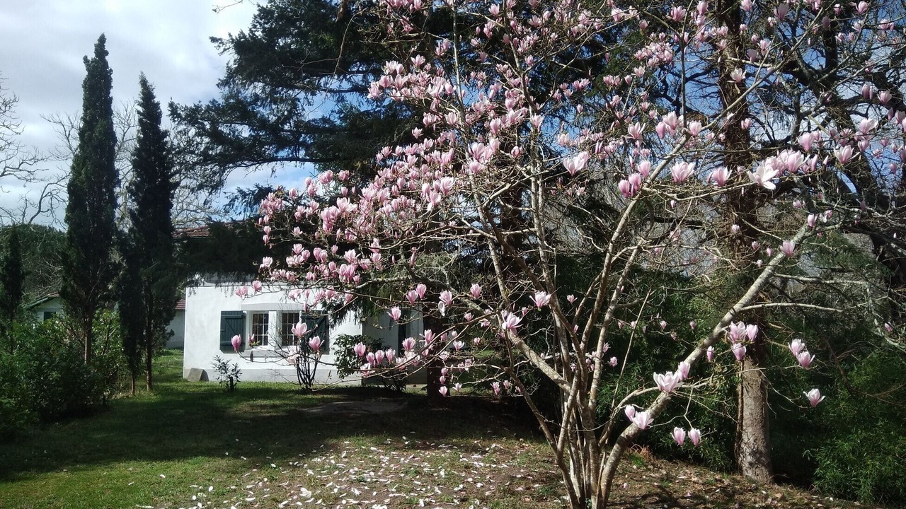 Photo of Outdoor in Castets