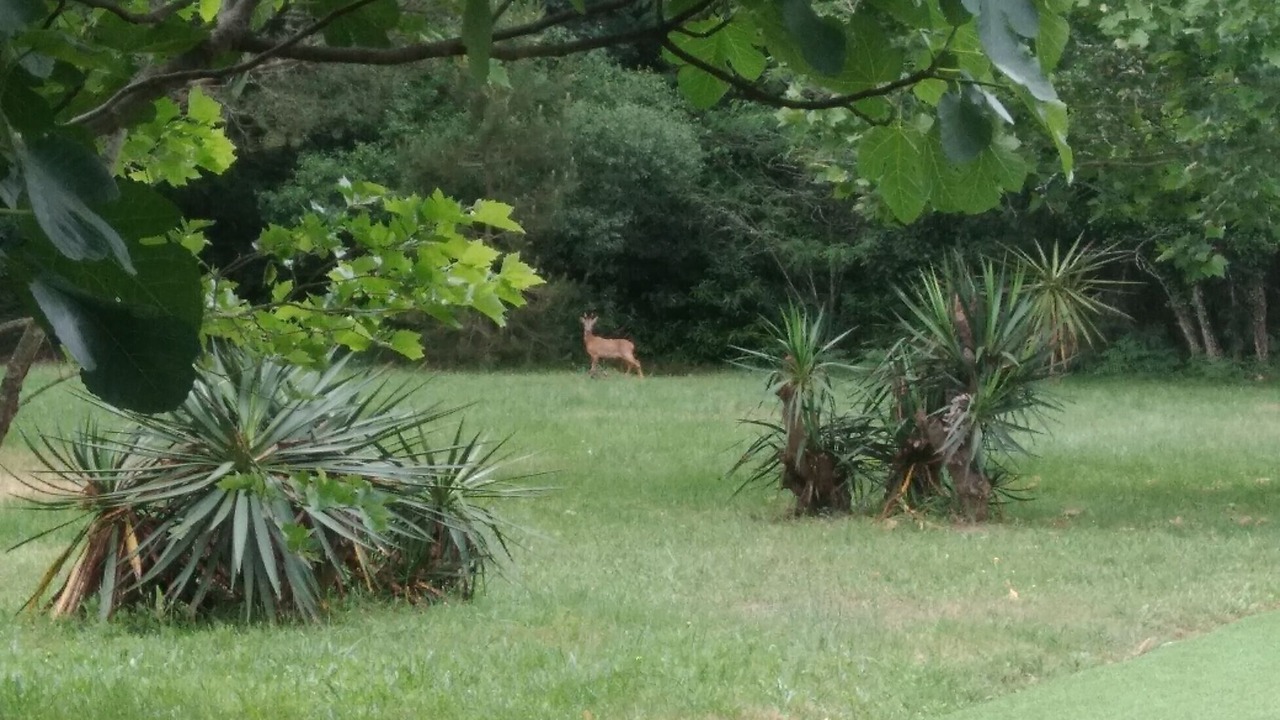 Photo of Outdoor in Castets