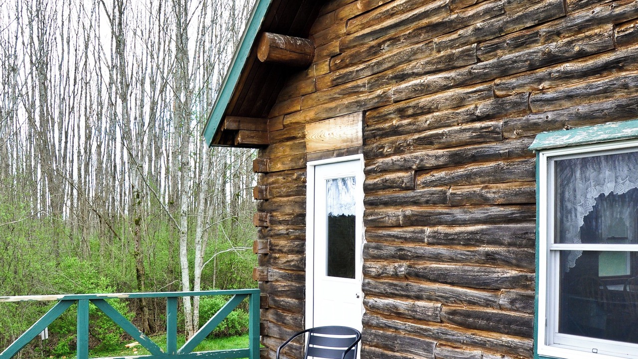 Photo of Outdoor in Alfred Station