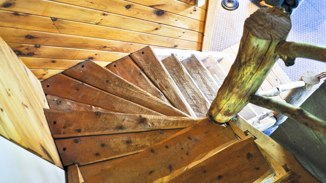 Photo of Others in Alfred Station