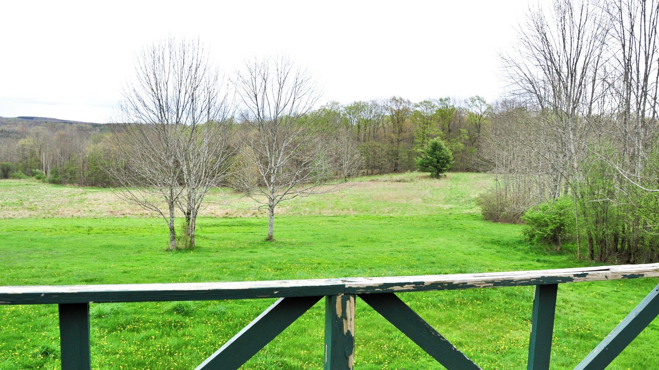 Photo of Outdoor in Alfred Station