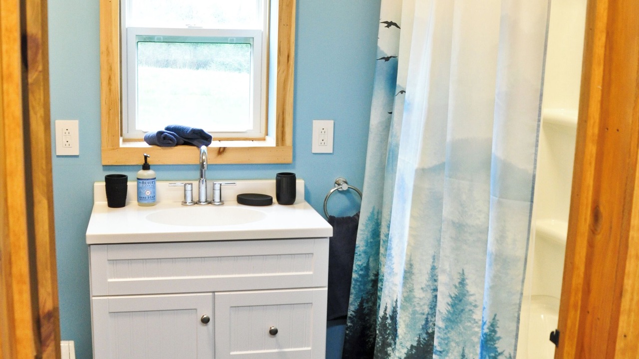 Photo of Bathroom in Alfred Station