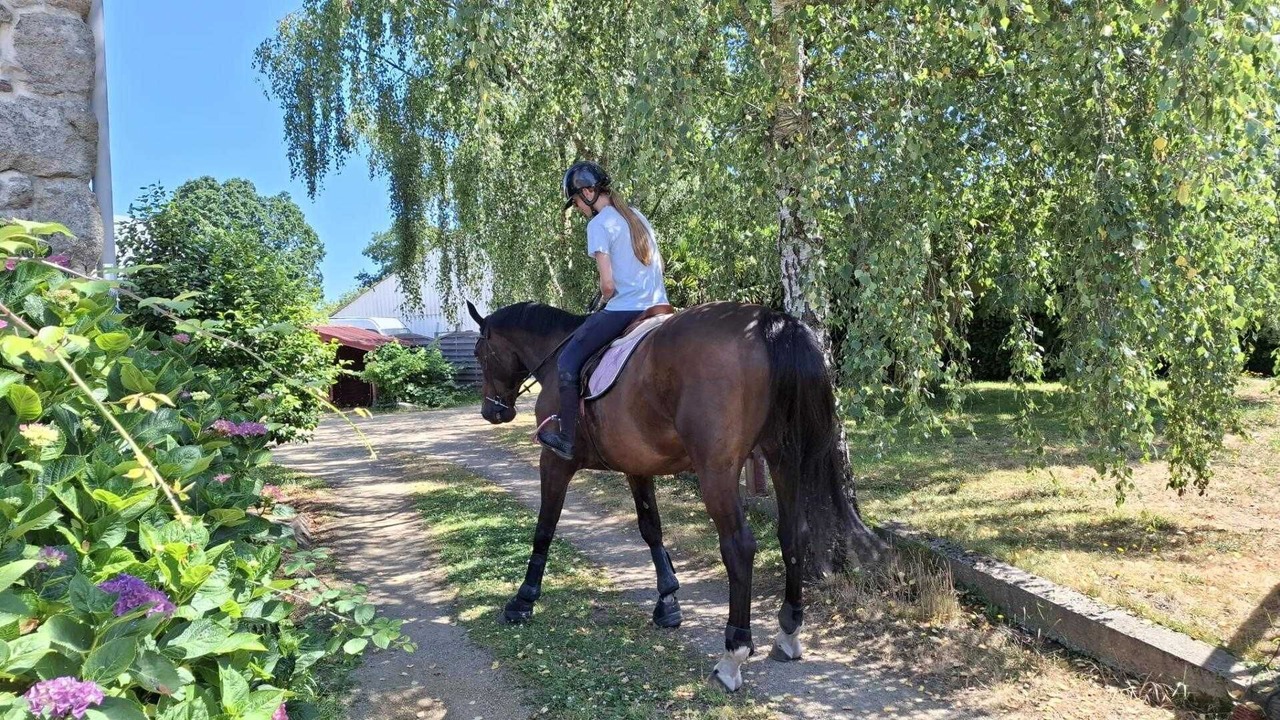 Photo of Others in Plourivo