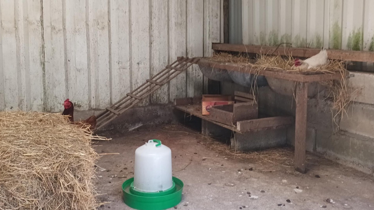 Photo of Others in Plourivo