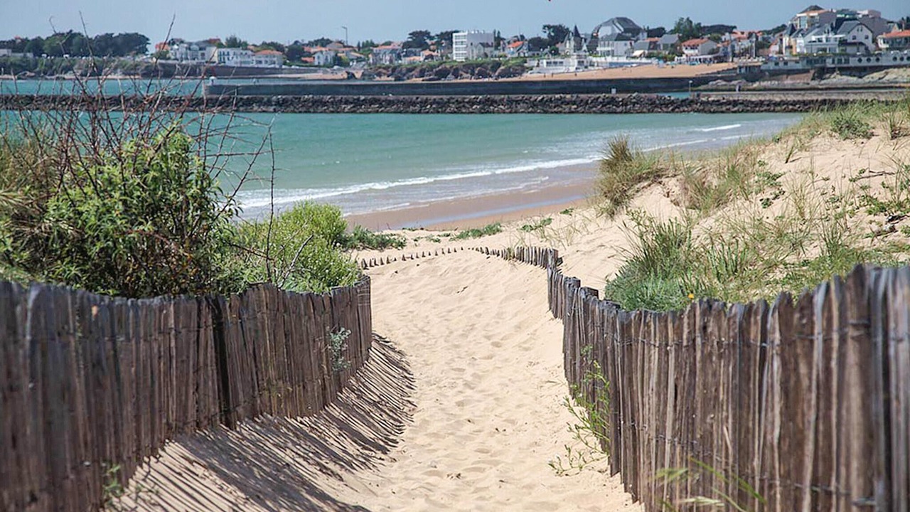 Photo of Others in Commequiers