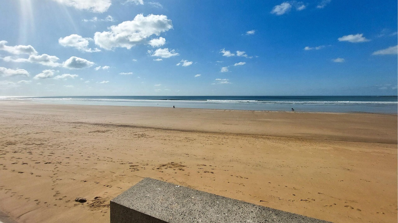 Photo of Others in Commequiers