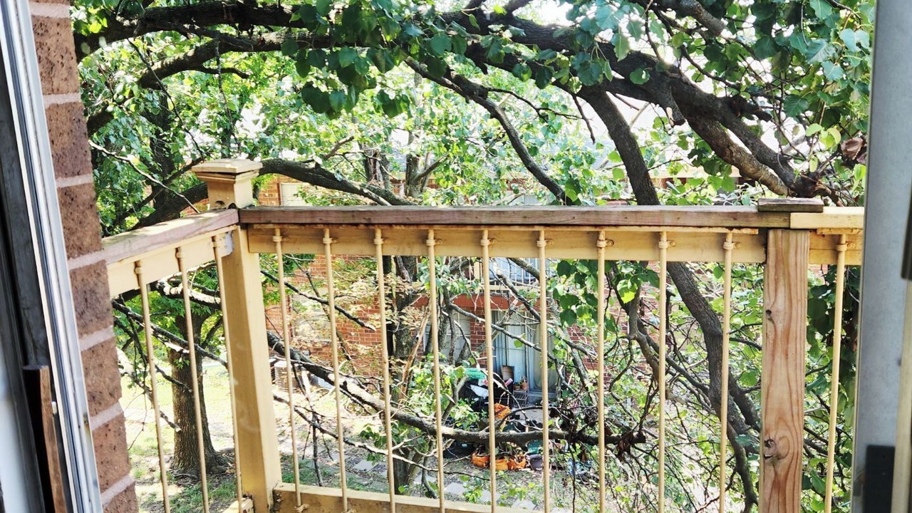 Photo of Outdoor in Overland