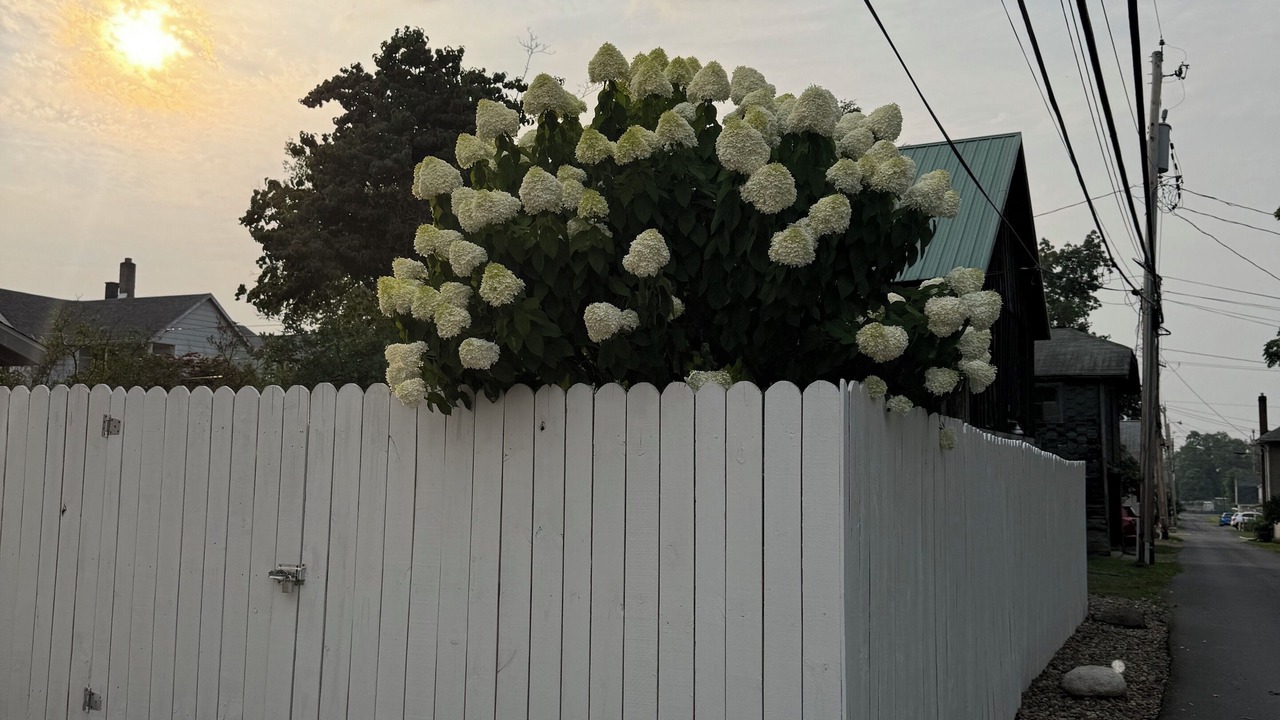 Photo of Outdoor in Lewisburg