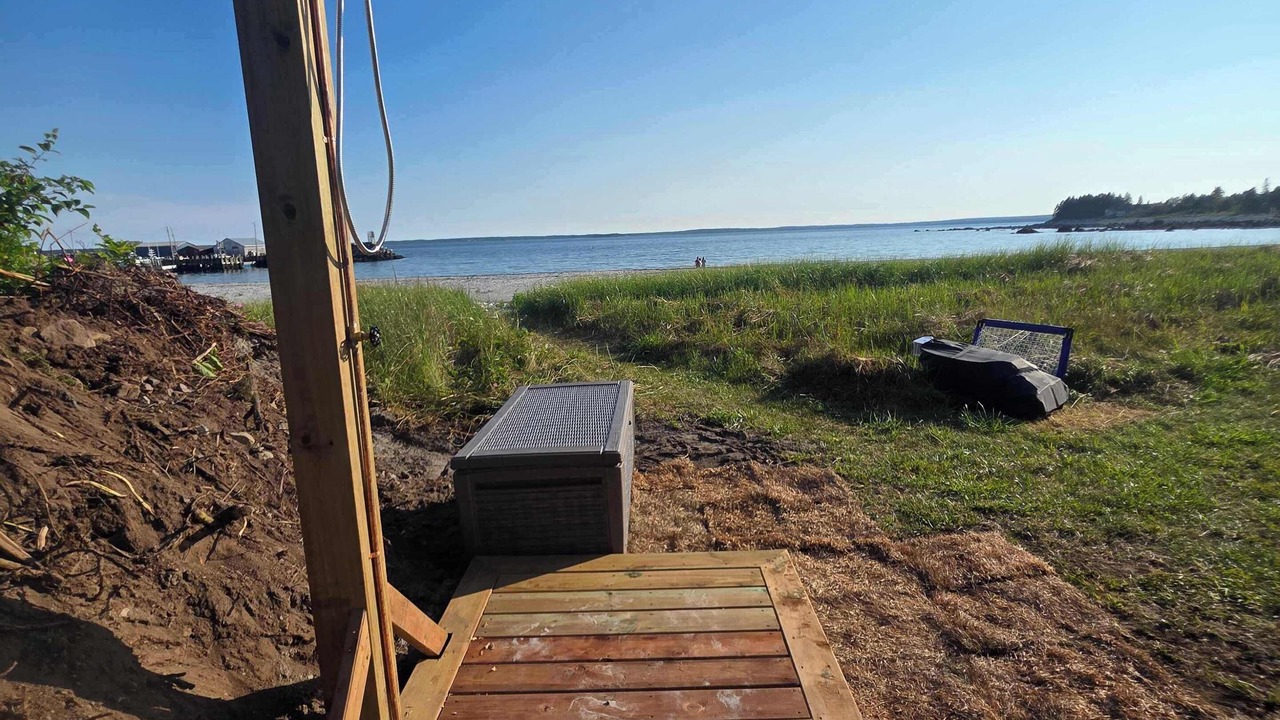 Photo of Outdoor in Hunts Point