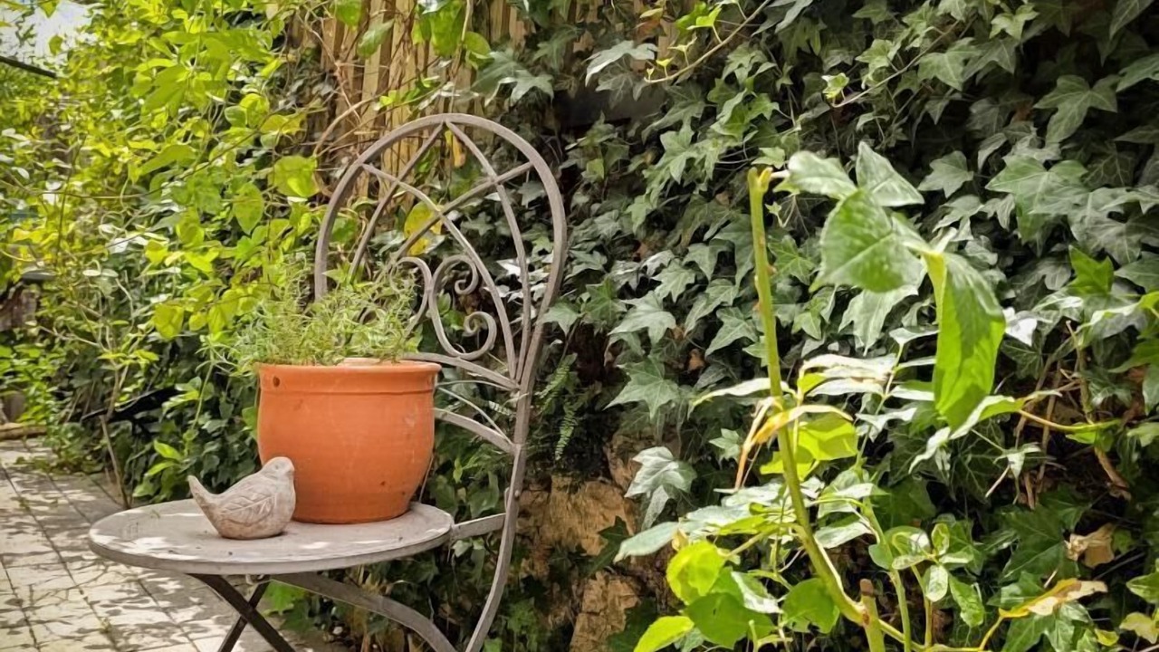 Photo of Patio Balcony in Saint-Denis-les-Martel
