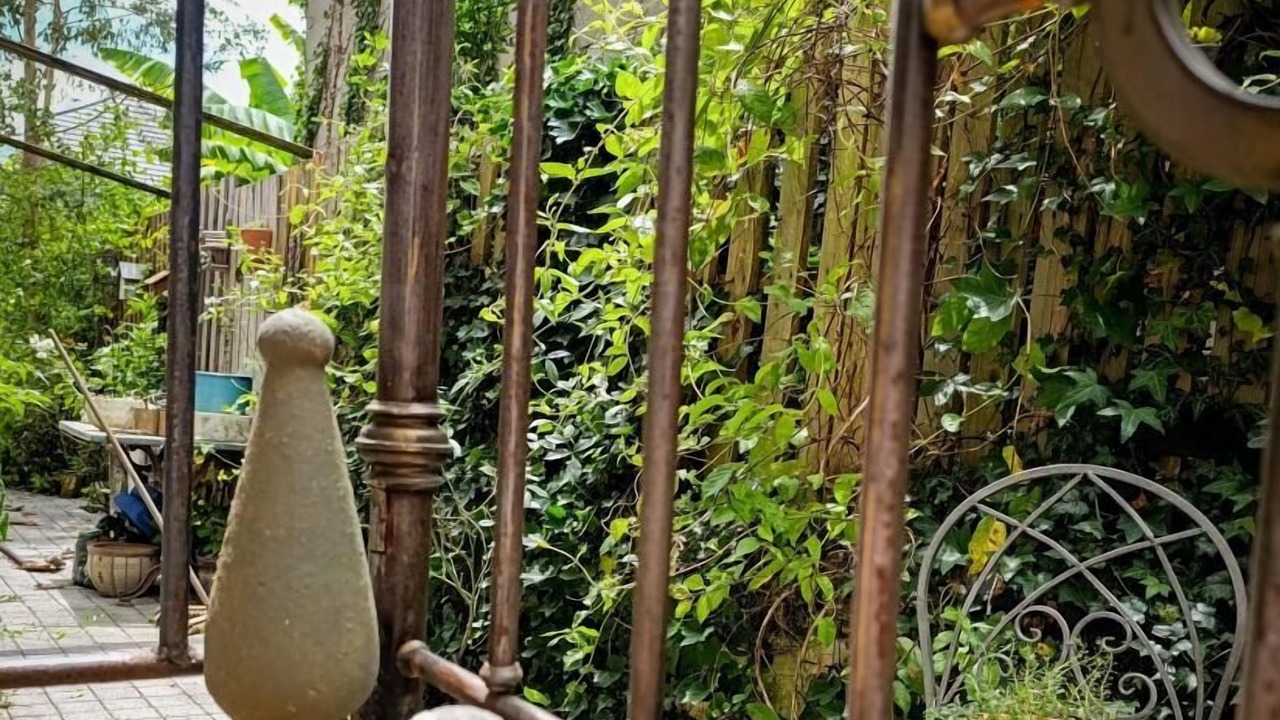 Photo of Outdoor in Saint-Denis-les-Martel