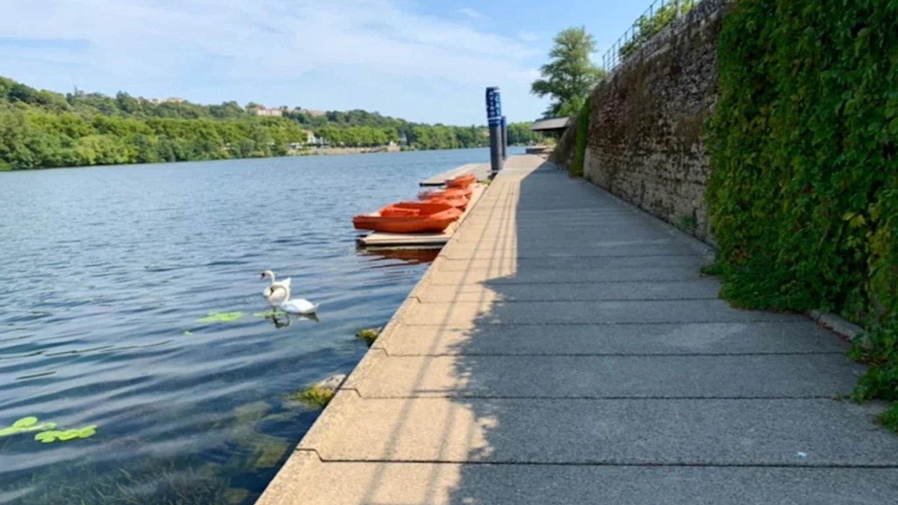 Photo of Others in Carnot - Gailleton