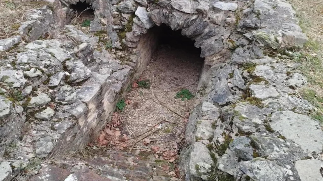 Photo of Others in Carnot - Gailleton