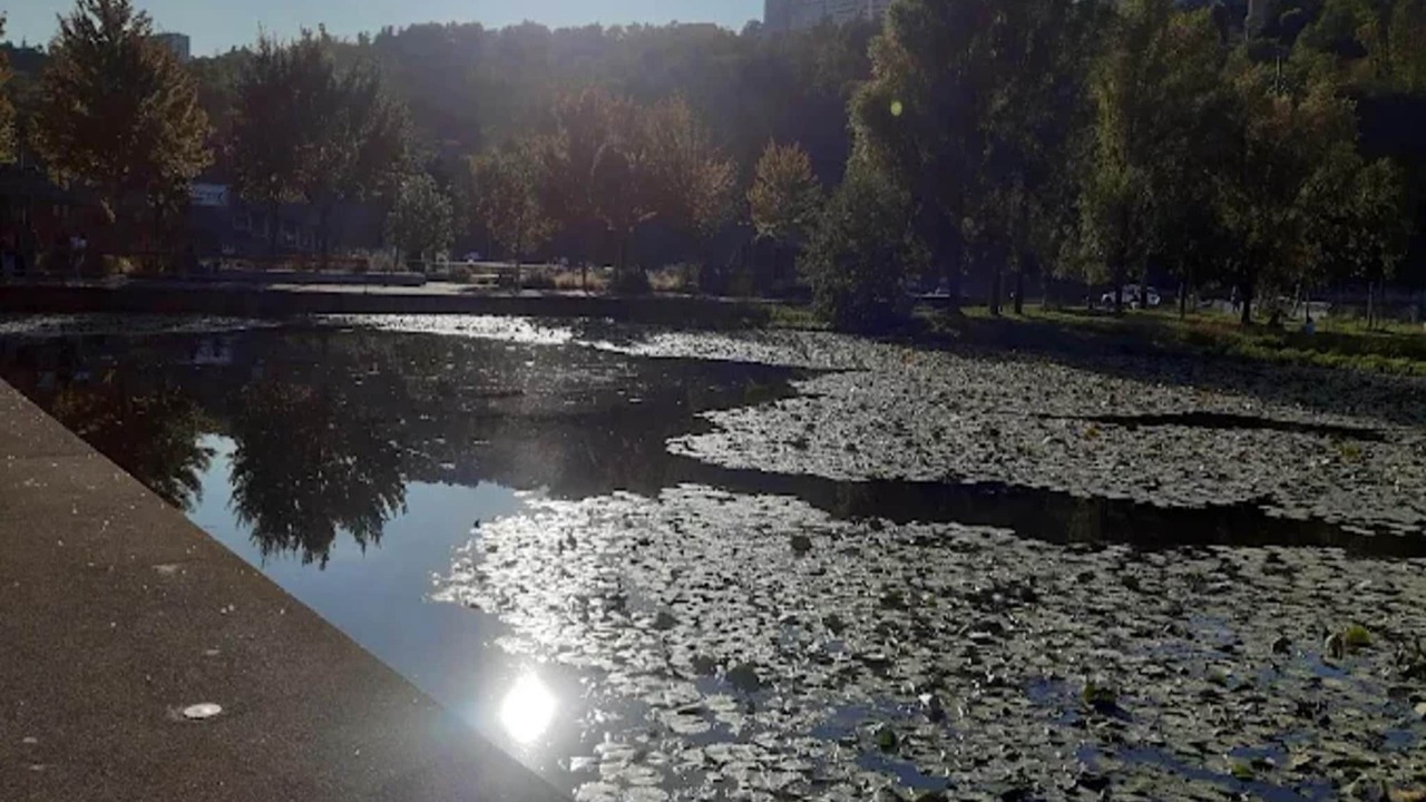 Photo of Others in Carnot - Gailleton