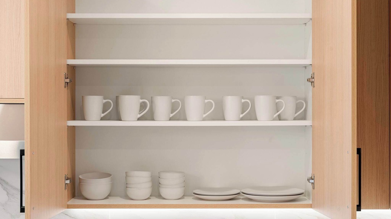 Photo of Others in Tri-Taylor