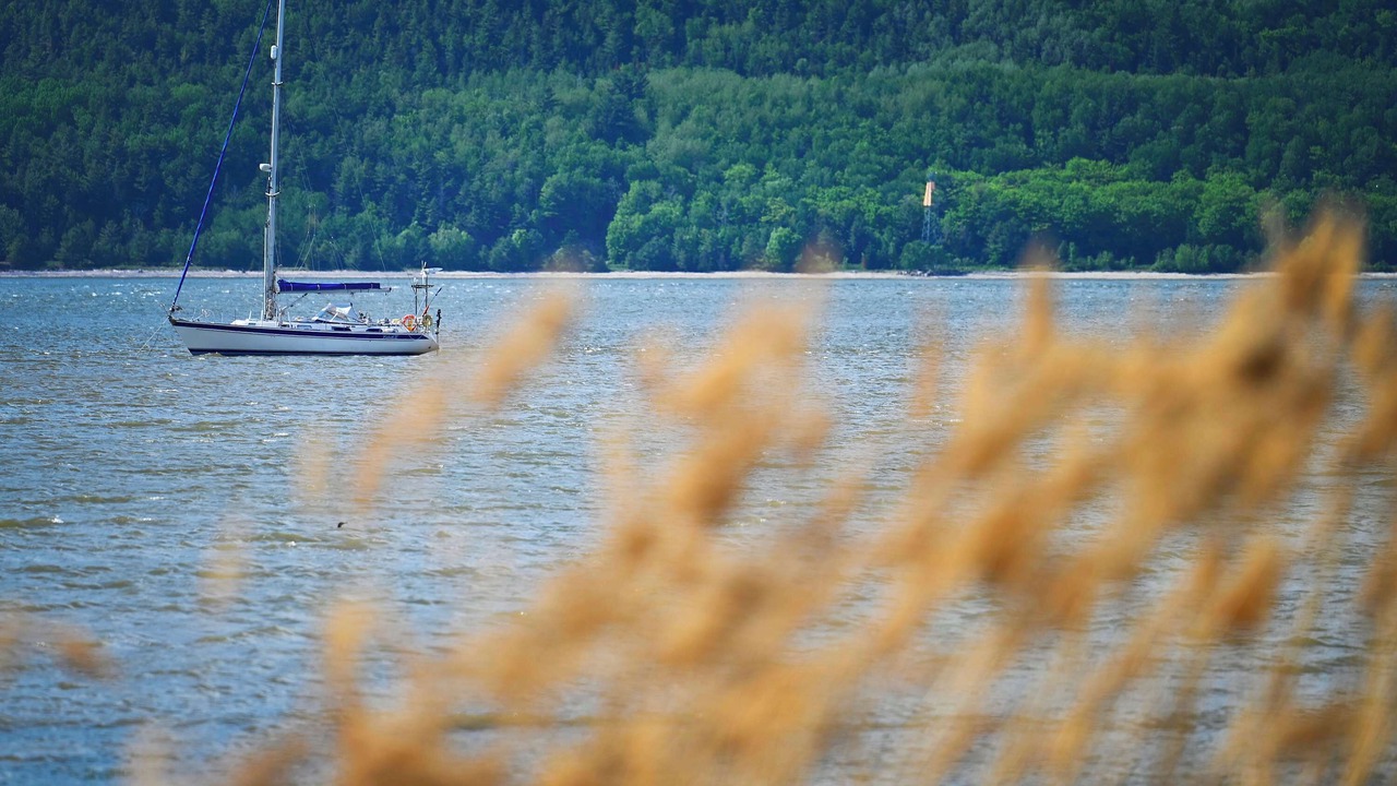 Photo of Others in Isle aux Coudres