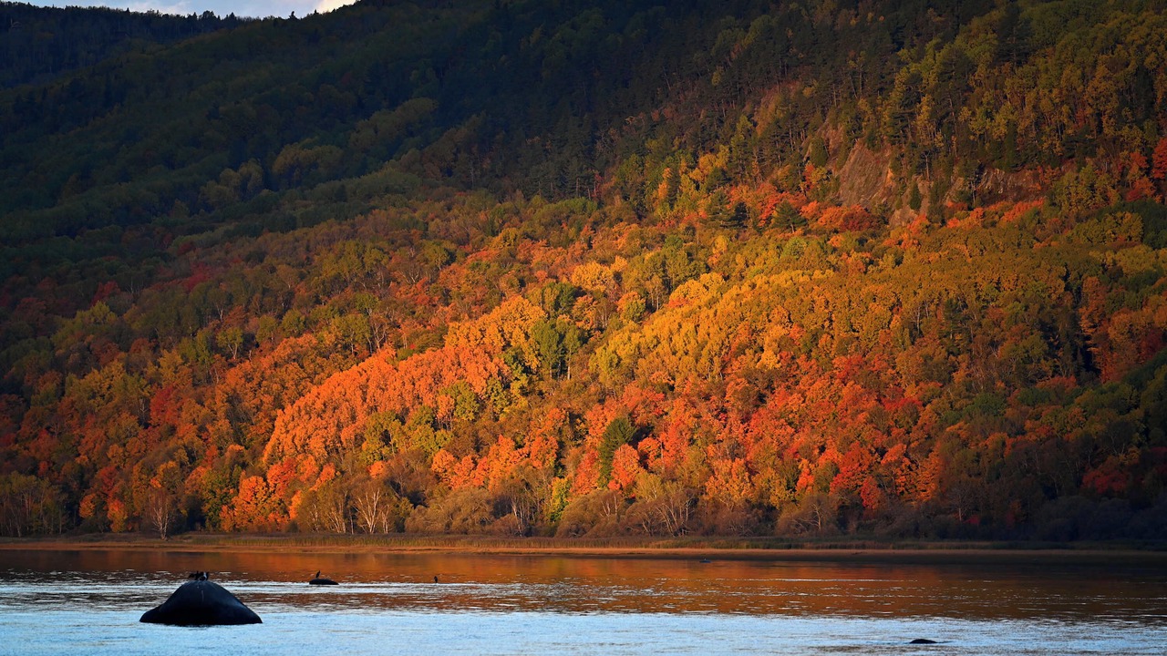Photo of Others in Isle aux Coudres