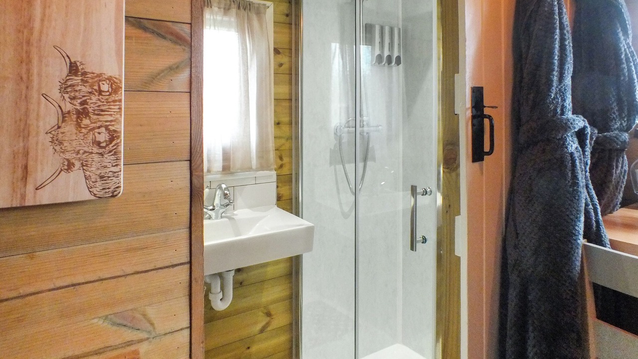 Photo of Bathroom in Talybont