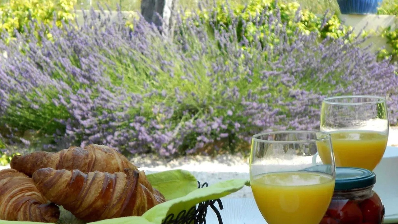 Photo of Outdoor in Seillans