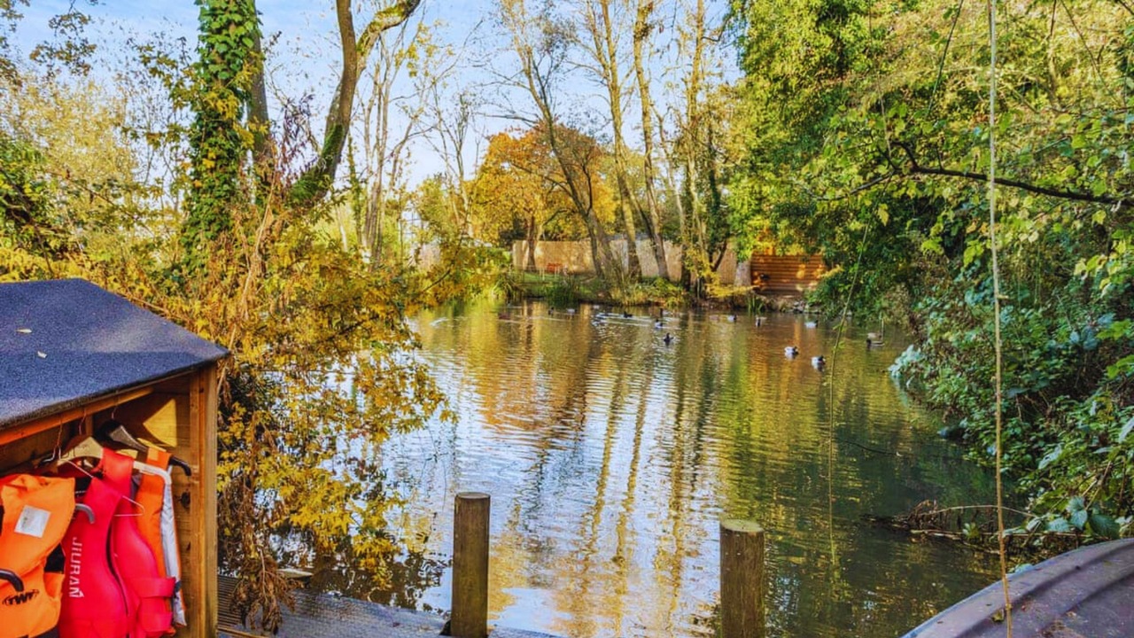 Photo of Others in Brinkley