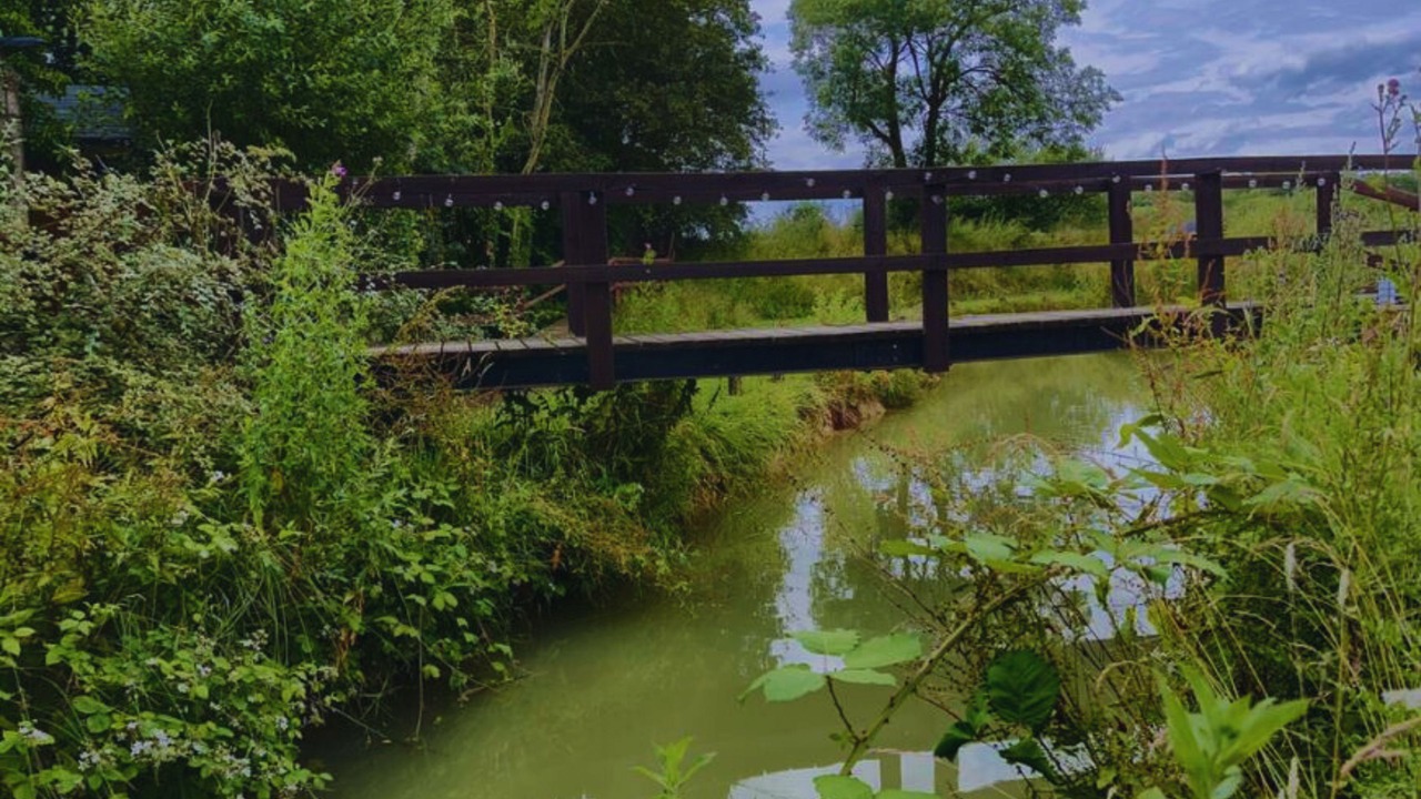 Photo of Others in Brinkley