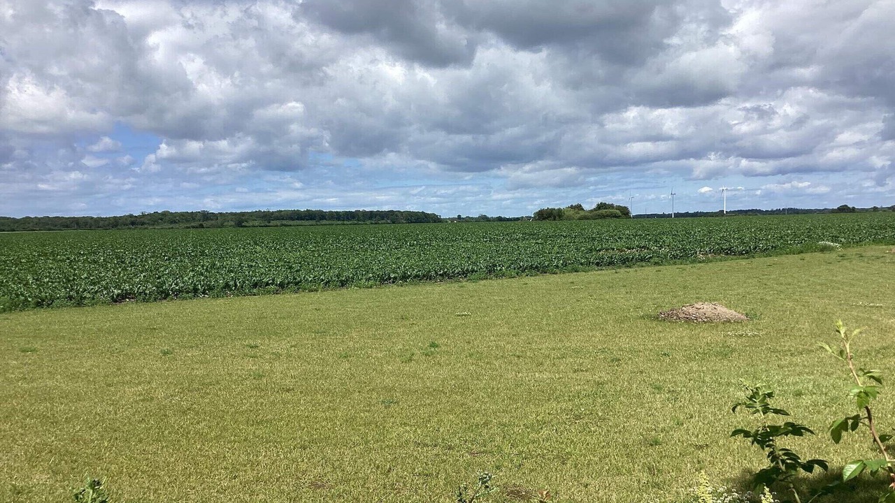 Photo of Outdoor in Maribo