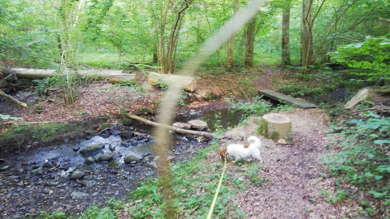Photo of Others in Hornsyld