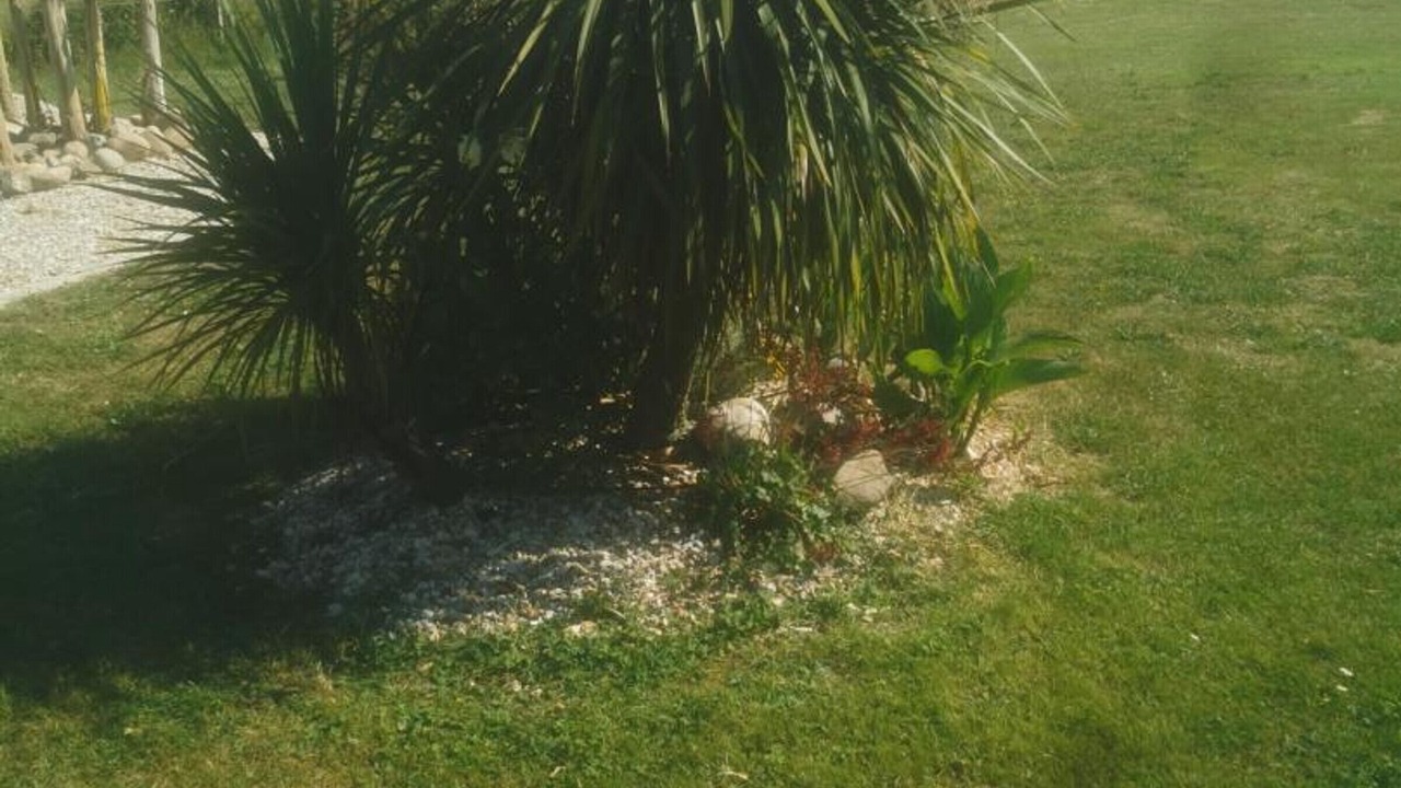 Photo of Outdoor in Amboise