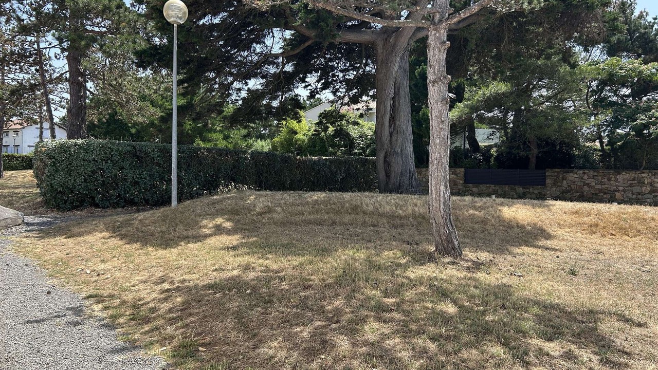 Photo of Outdoor in Bretignolles-sur-Mer