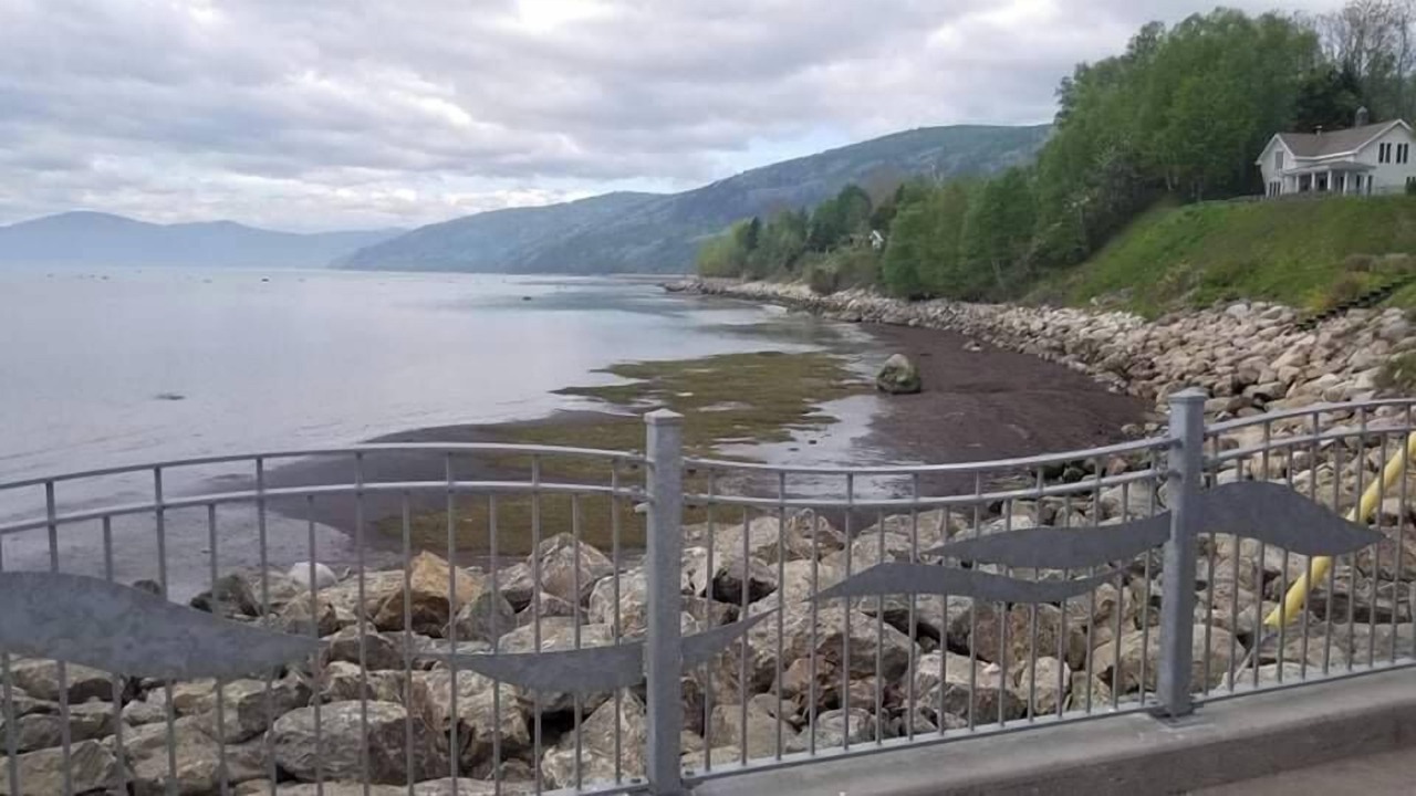 Photo of Others in Petite-Riviere-Saint-Francois