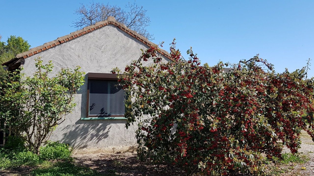 Photo of Outdoor in Saint-Germain-du-Bois