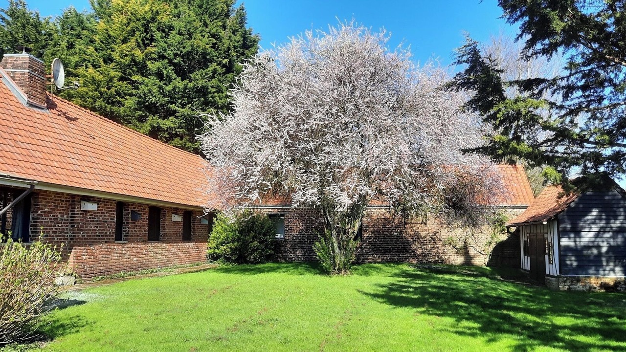 Photo of Outdoor in Cavron-Saint-Martin