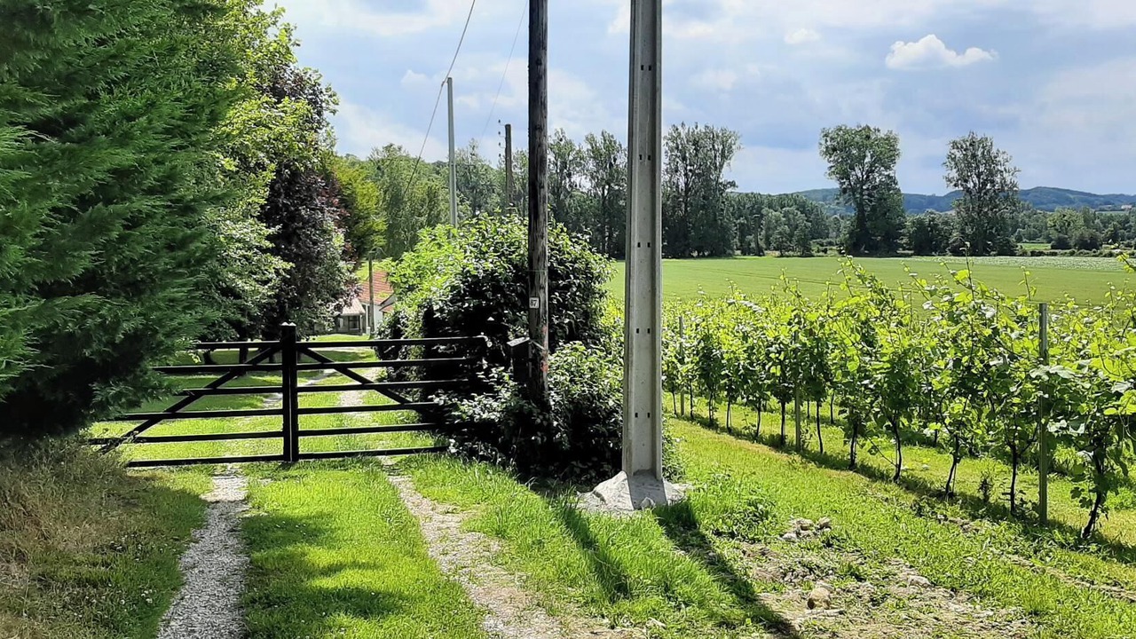 Photo of Outdoor in Cavron-Saint-Martin