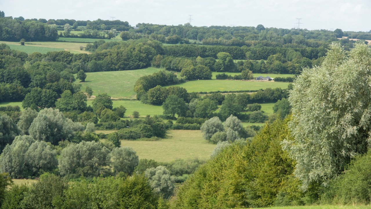 Photo of Others in Etreaupont