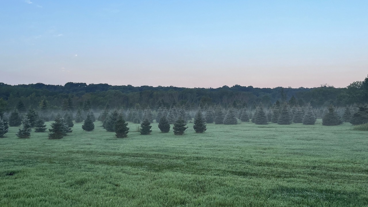 Photo of Others in Redwood County