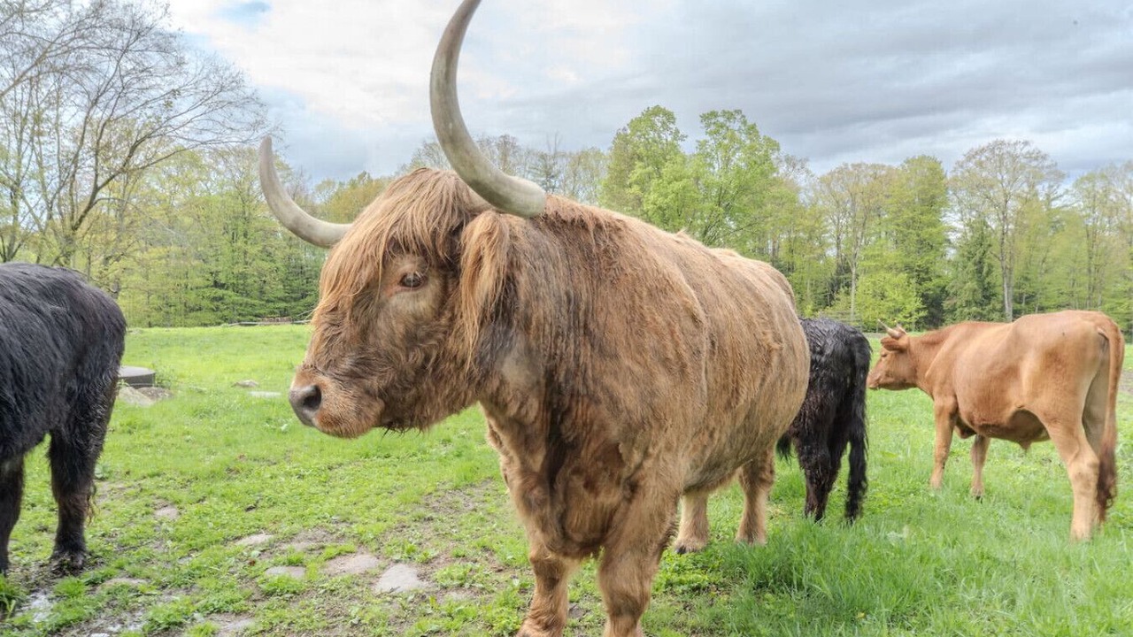 Photo of Others in Loudon