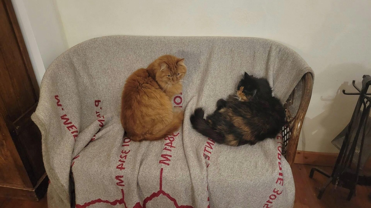 Photo of Others in Molines-en-Queyras