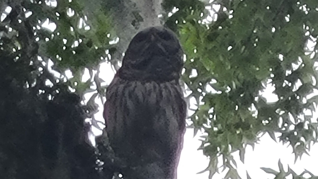 Photo of Others in Ocala