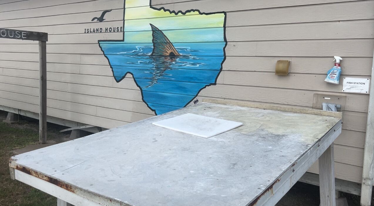Photo of Others in Corpus Christi