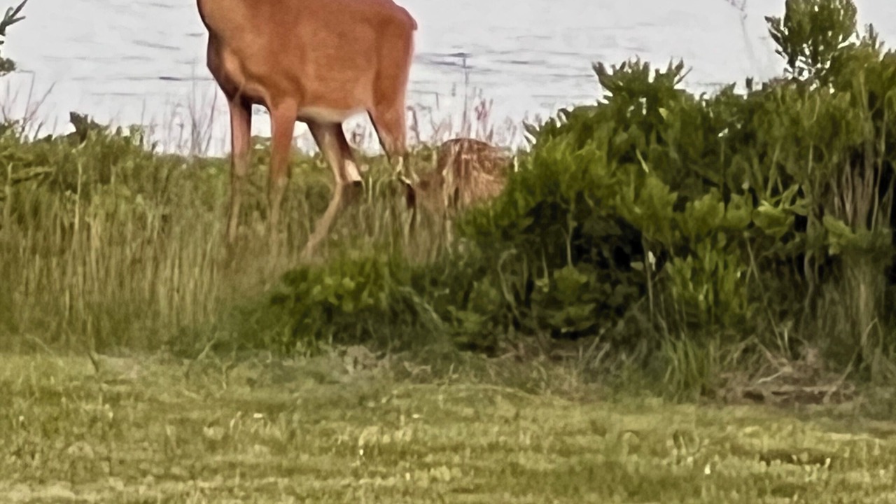 Photo of Others in Hunts Point