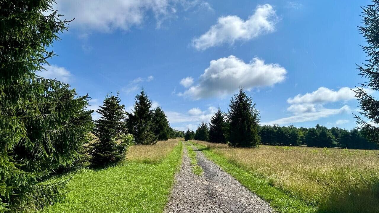 Photo of Others in Meadows Of Dan