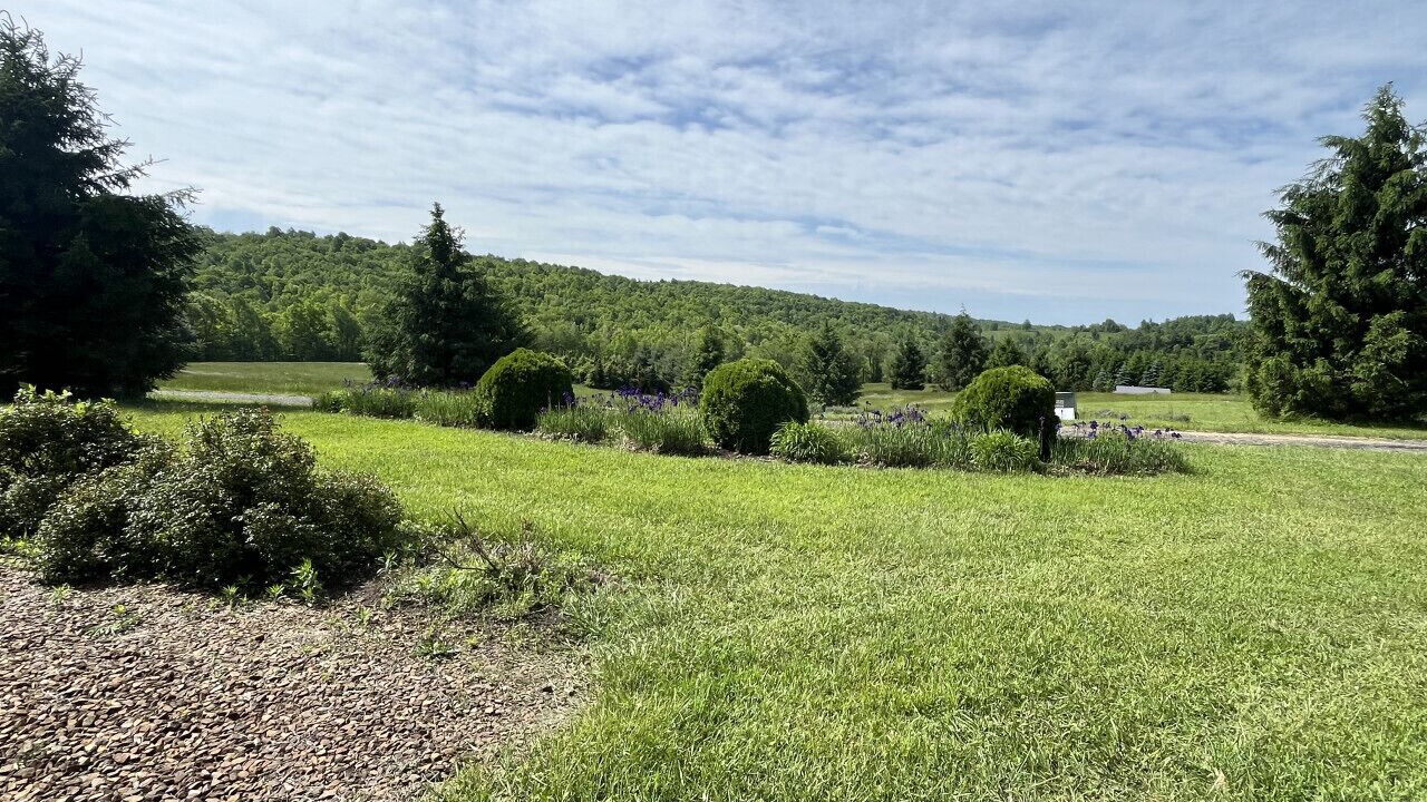 Photo of Outdoor in Vesta
