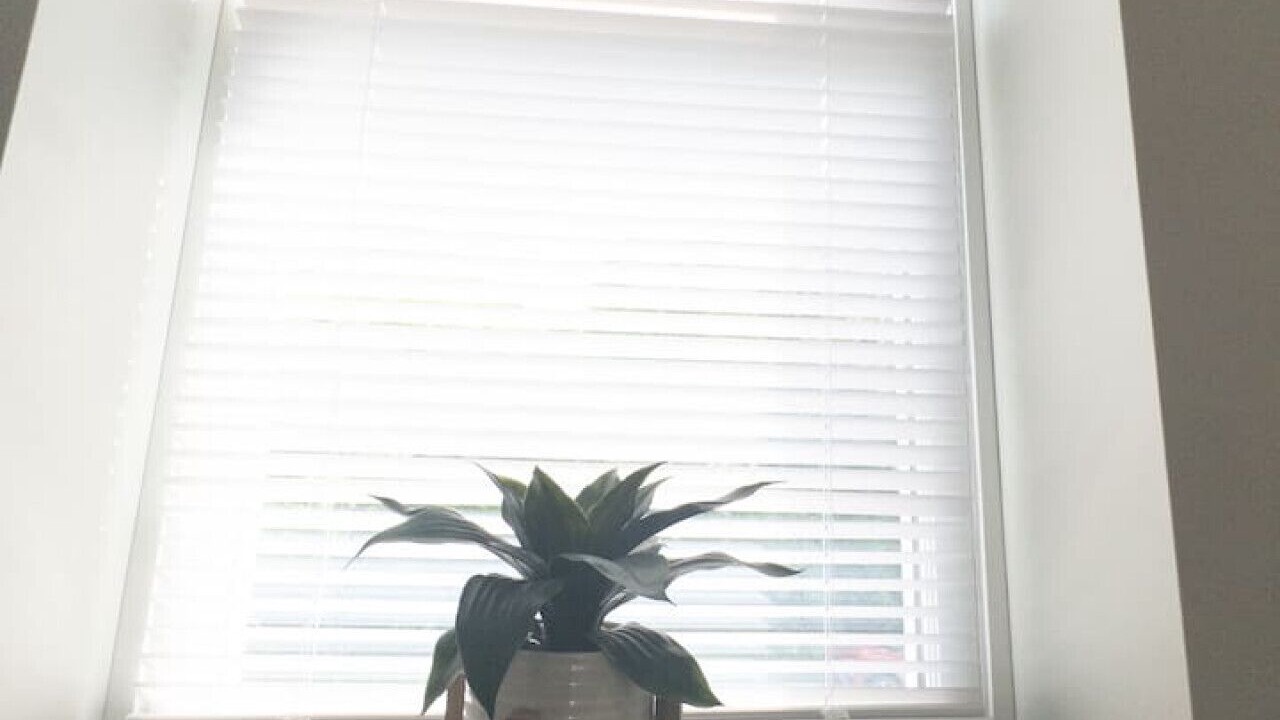 Photo of Others in Fort Fairfield