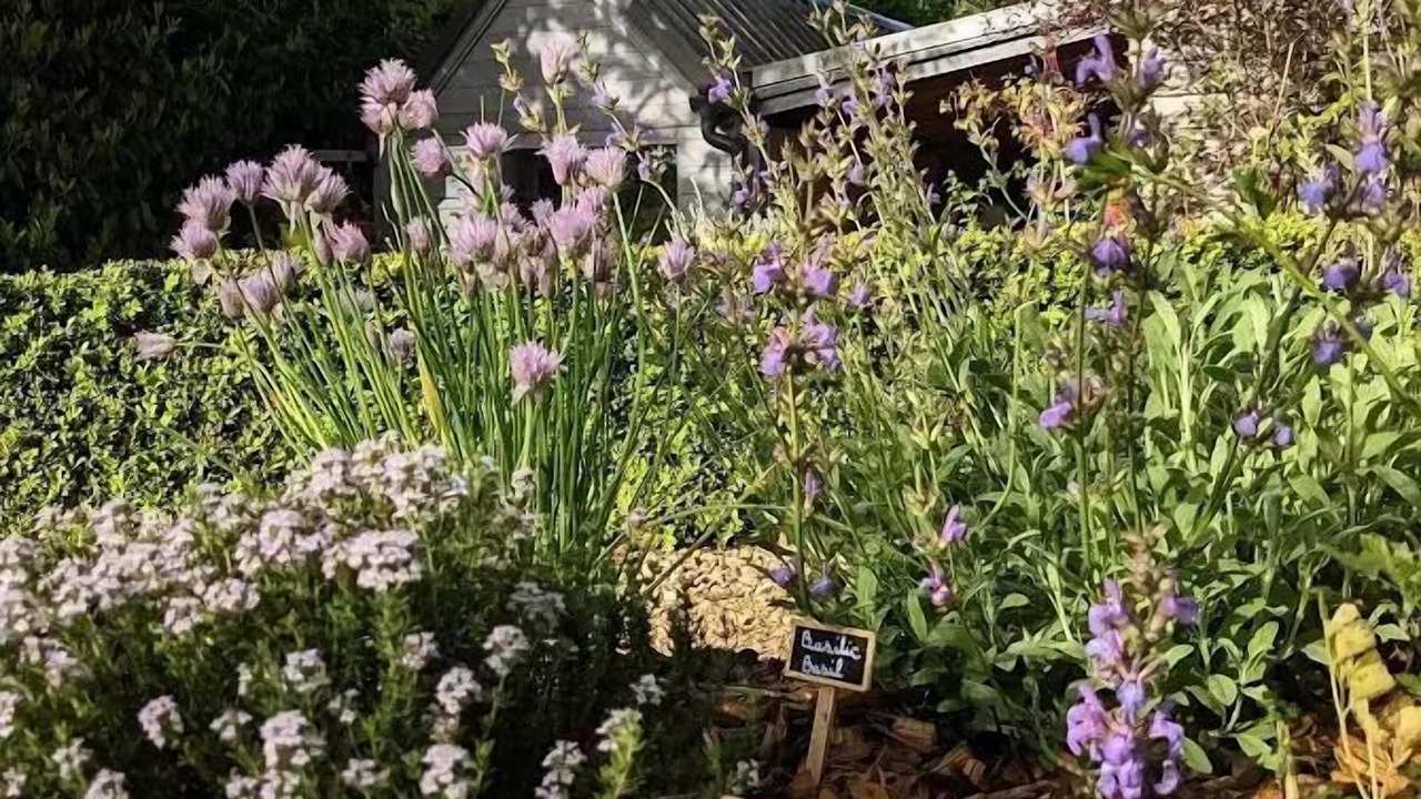 Photo of Outdoor in Biron