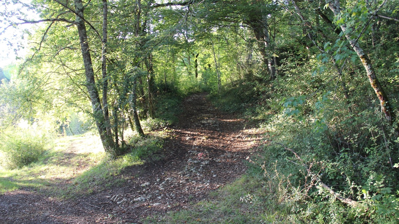 Photo of Others in Issac