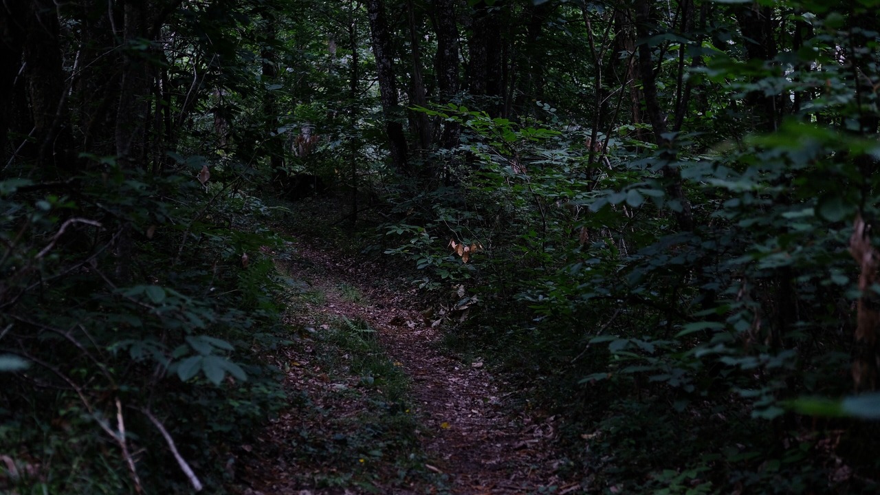 Photo of Others in Issac